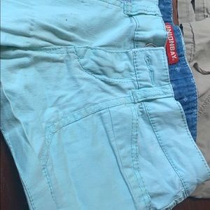 Teal corgi shorts 3inch